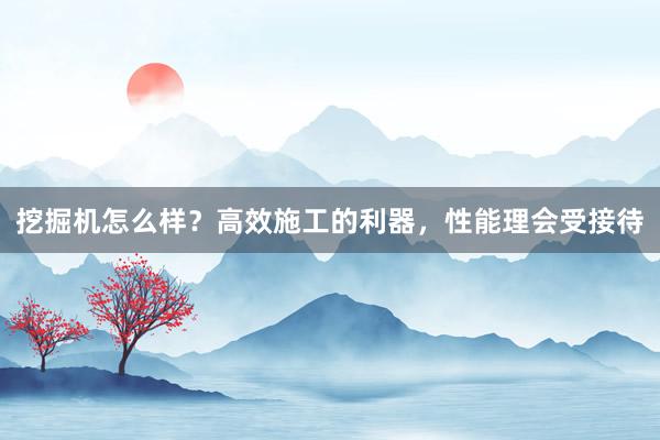 挖掘机怎么样？高效施工的利器，性能理会受接待