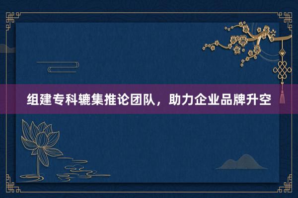 组建专科辘集推论团队，助力企业品牌升空