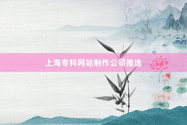上海专科网站制作公司推选