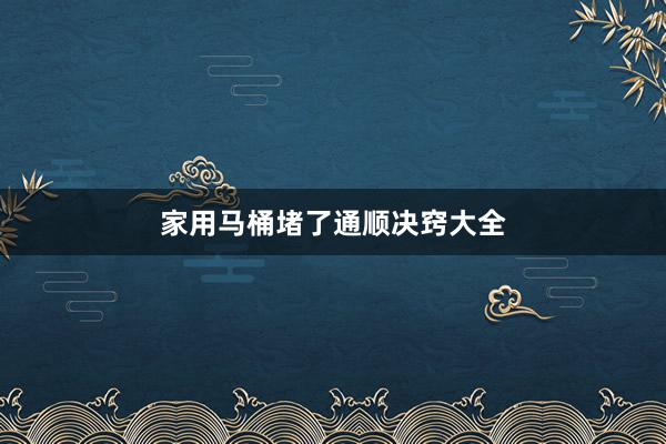 家用马桶堵了通顺决窍大全